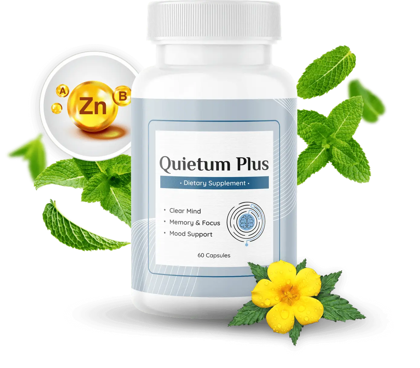 quietum-plus supplement
